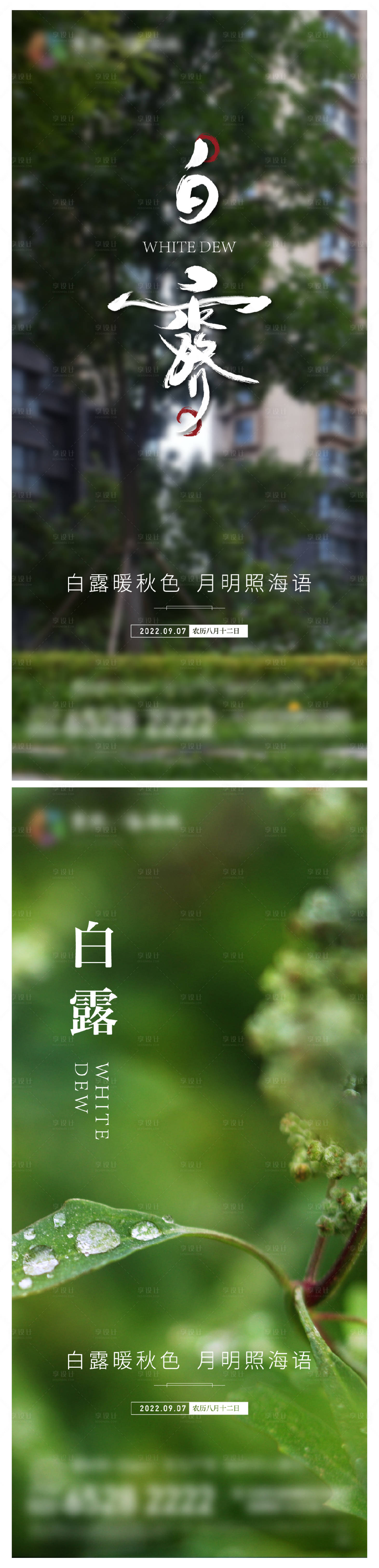 源文件下载【享设计】搜索编号：70780011948148494【地产白露节气海报】
