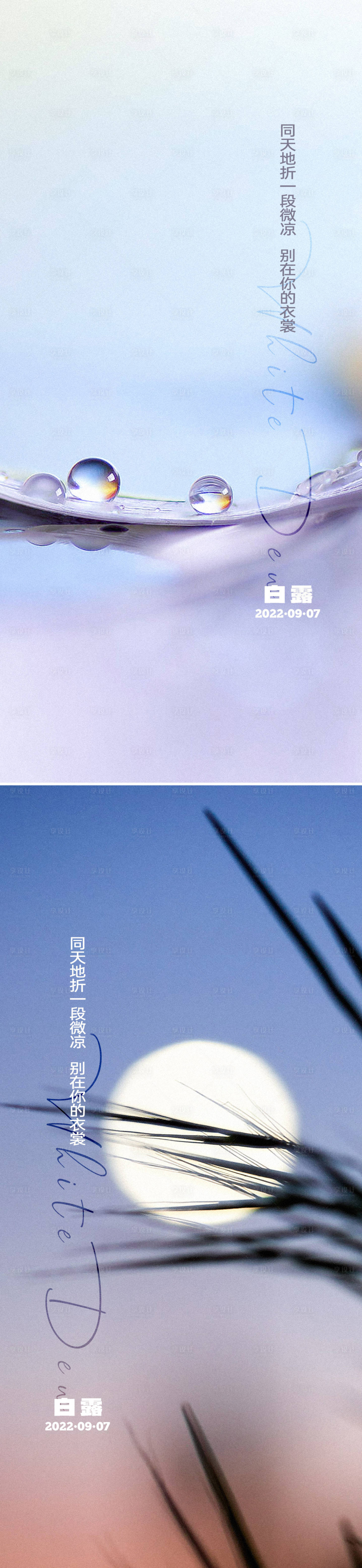源文件下載【地產白露節氣海報】編號：43910011811951159