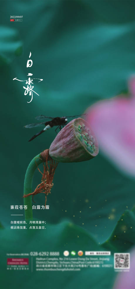 源文件下載【白露】編號：41900011825449906