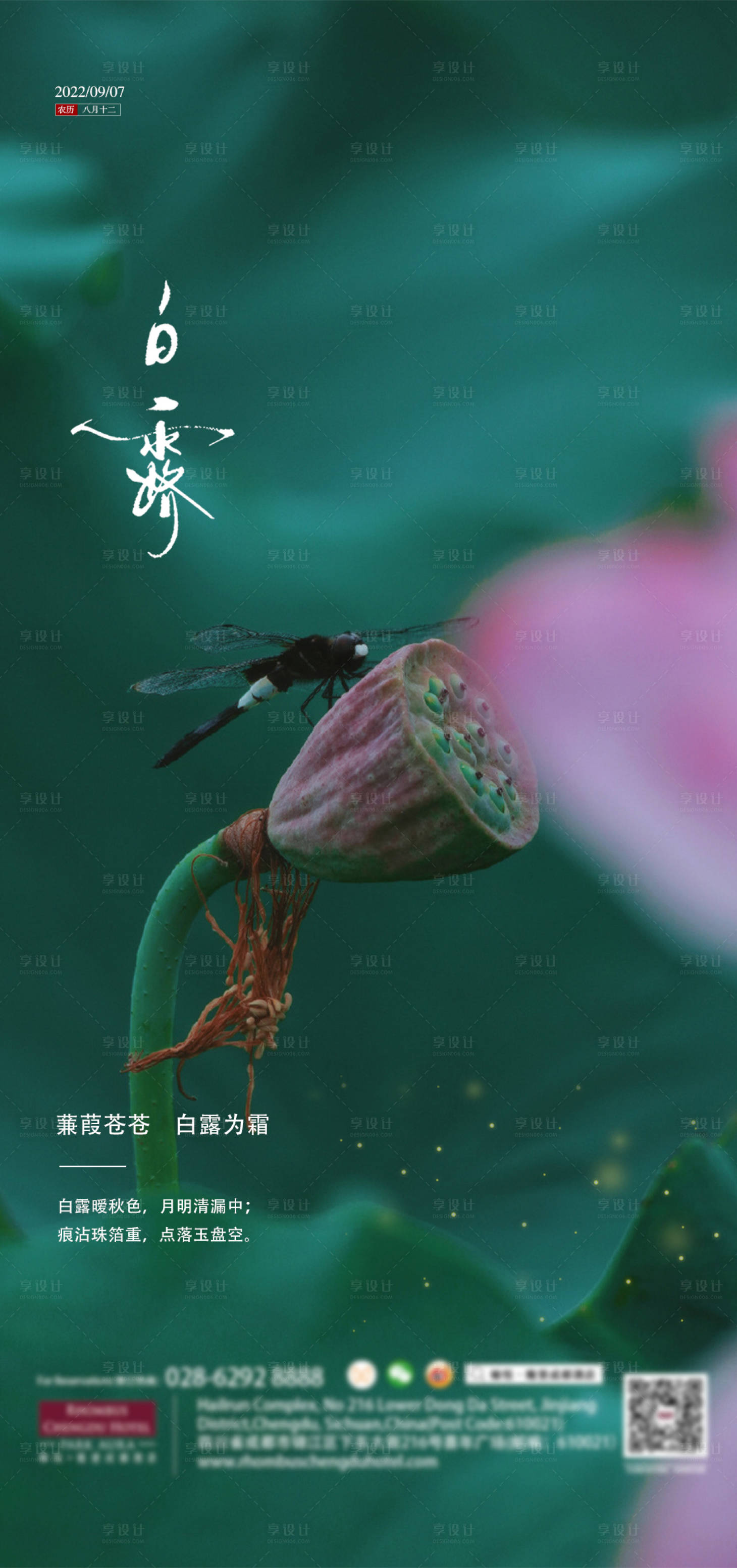 源文件下載【白露】編號：41900011825449906