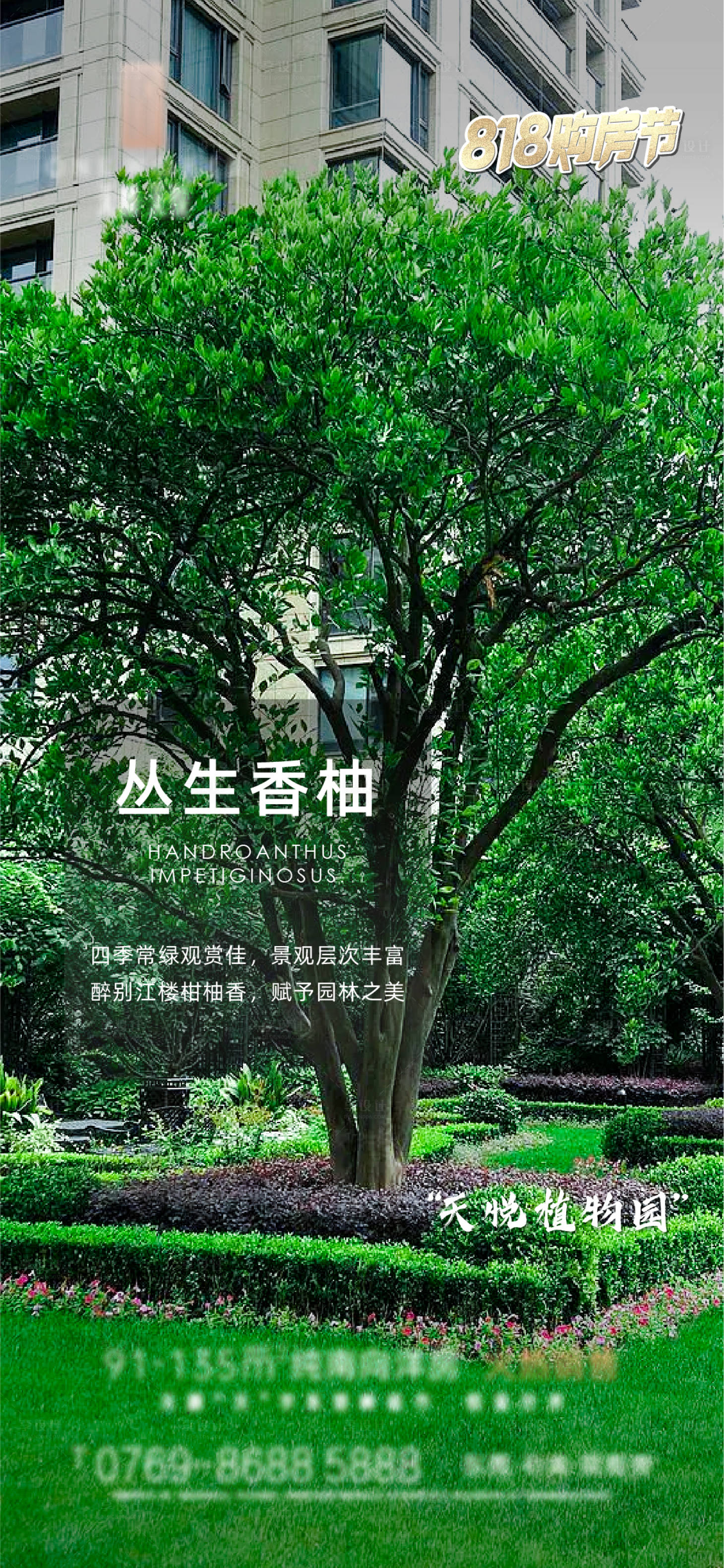 源文件下载【享设计】搜索编号：73660011838874173【花卉单图】
