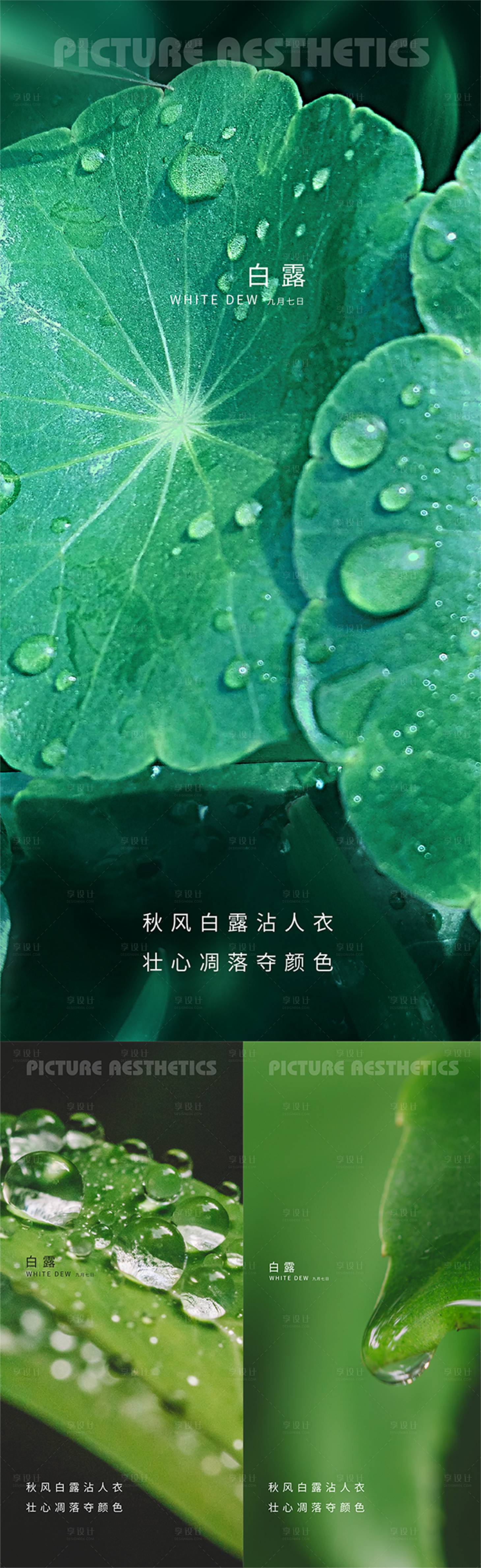 源文件下载【二十四节气白露海报】编号：51800011954229401