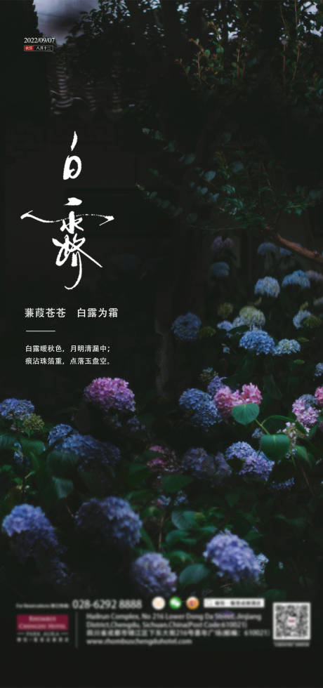 源文件下载【白露海报】编号：80550011825133994