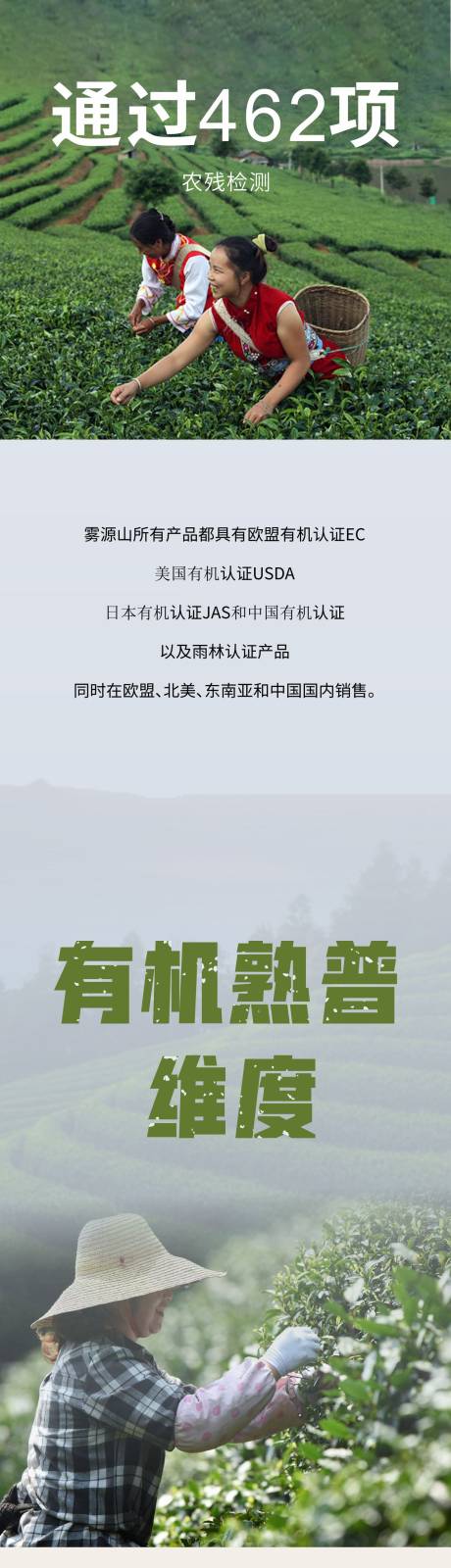 源文件下载【茶叶长图详情页】编号：60940011822447920