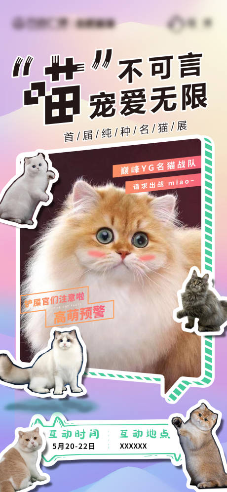 萌猫宠物展活动海报