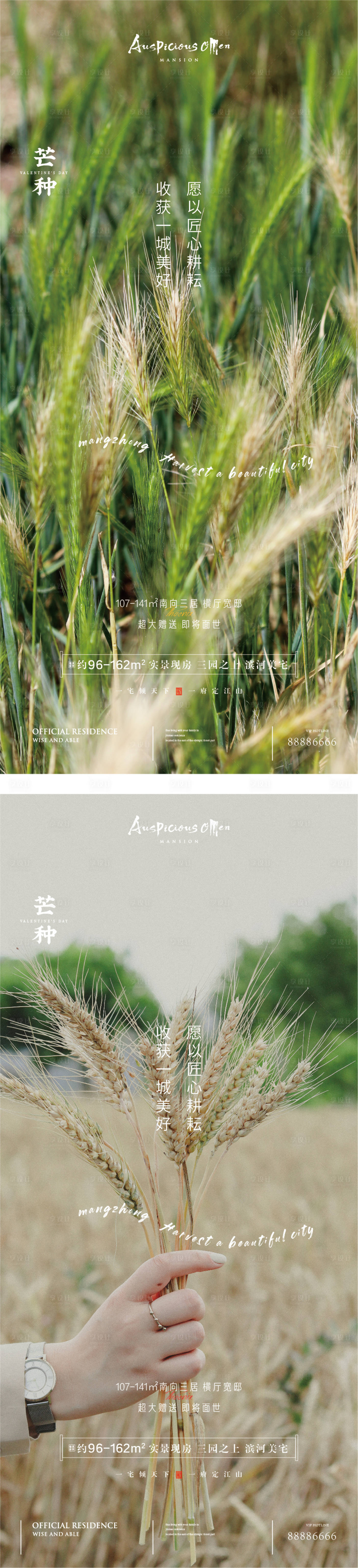 源文件下載【享設計】搜索編號：45610011633543807【芒種節氣海報】