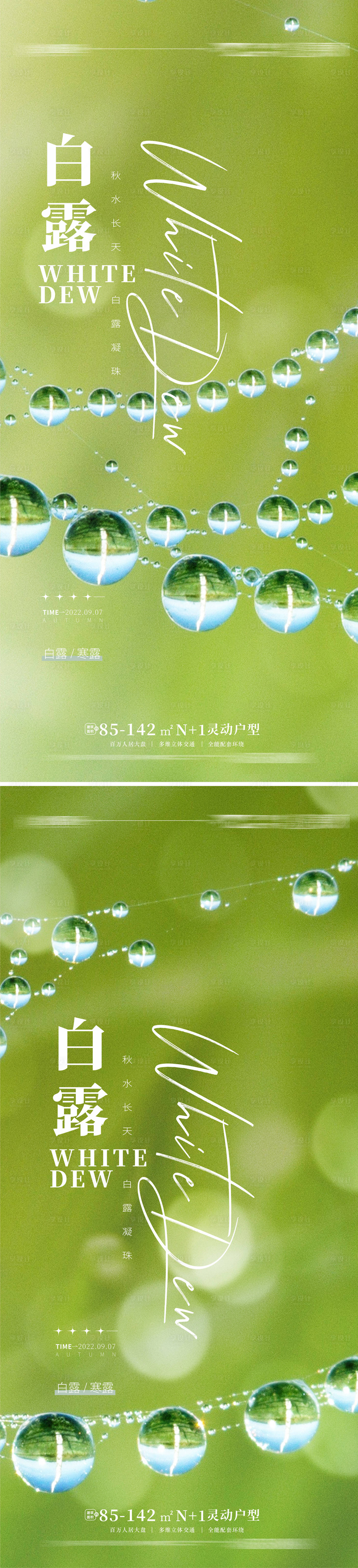 源文件下载【白露寒露海报】编号：91680011584351301