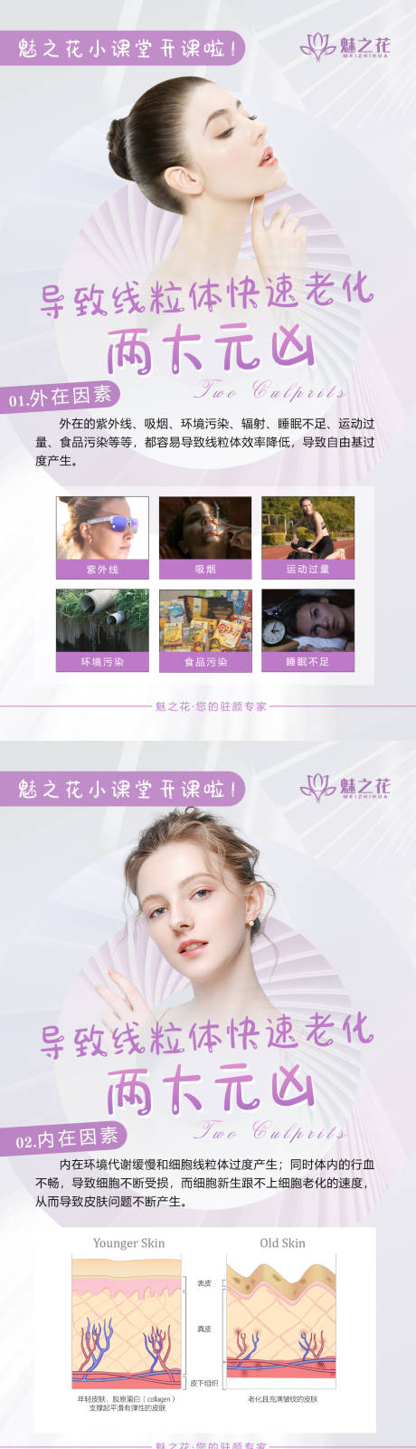 源文件下载【抗衰科普】编号：83970011914482568