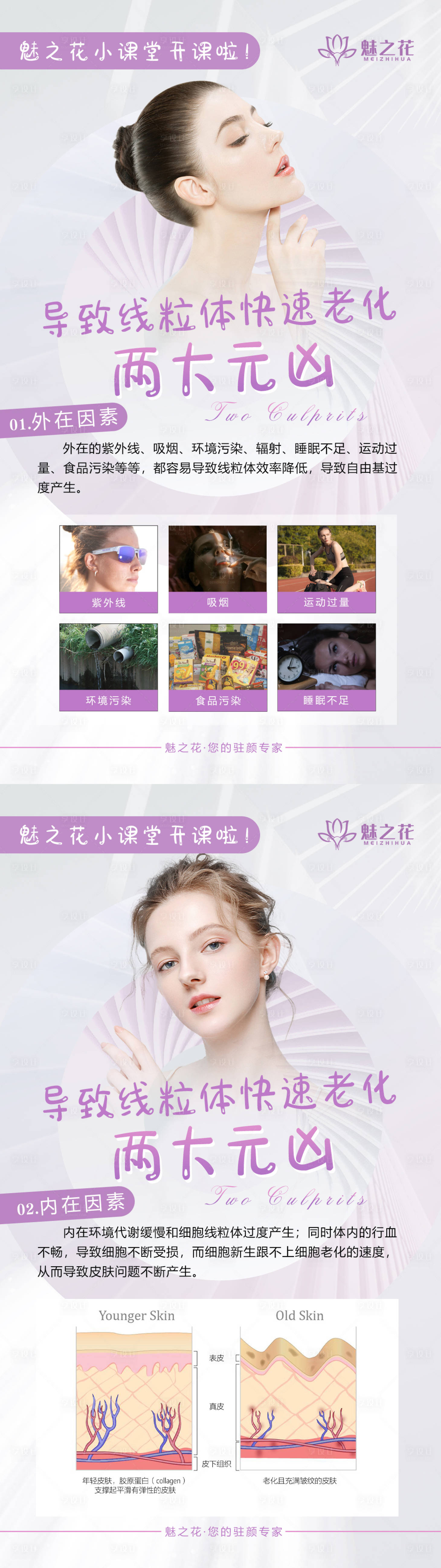 源文件下载【享设计】搜索编号：83970011914482568【抗衰科普】