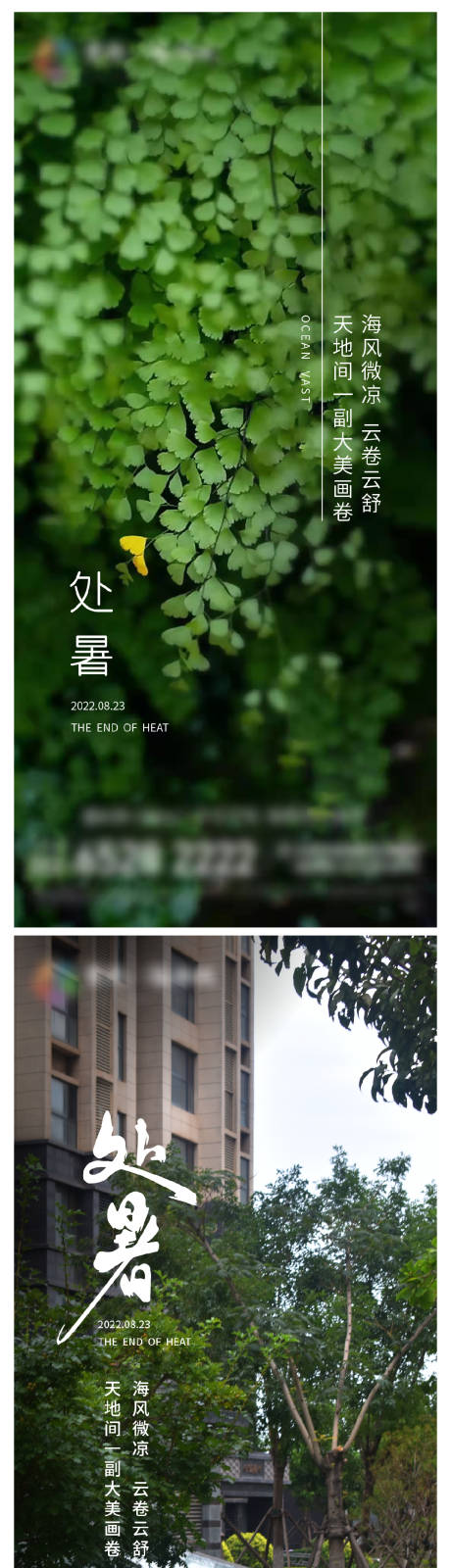 源文件下载【地产处暑节气单图】编号：56510011672531631