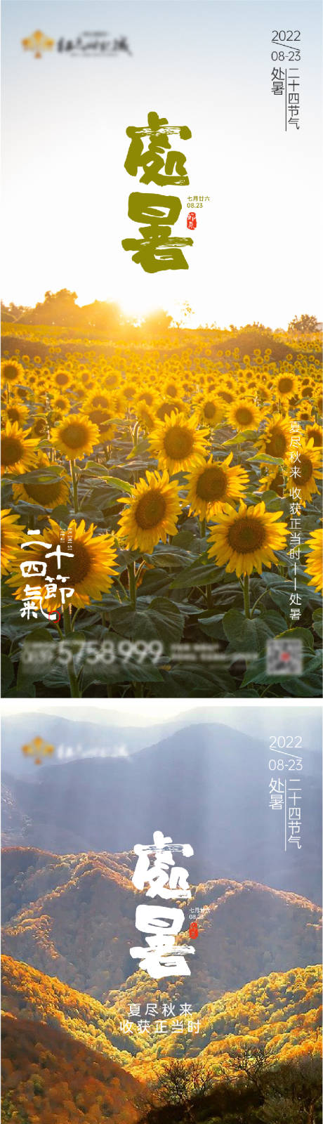 源文件下载【二十四节气海报】编号：20220811114042455