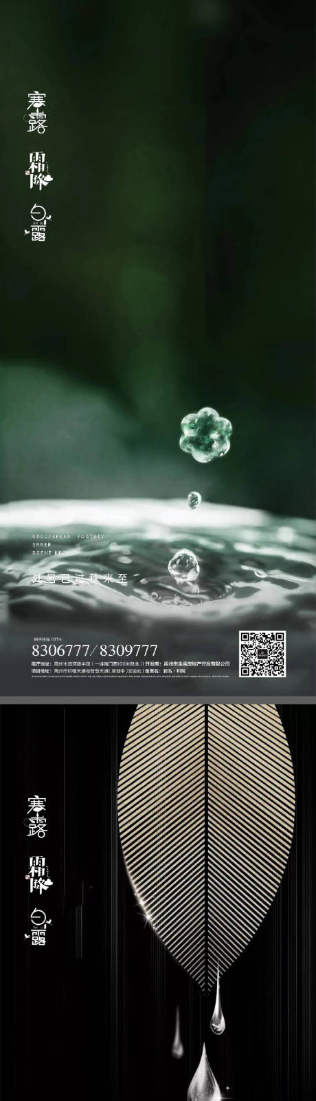 源文件下载【白露寒露霜降节日系列海报】编号：29360011905632974