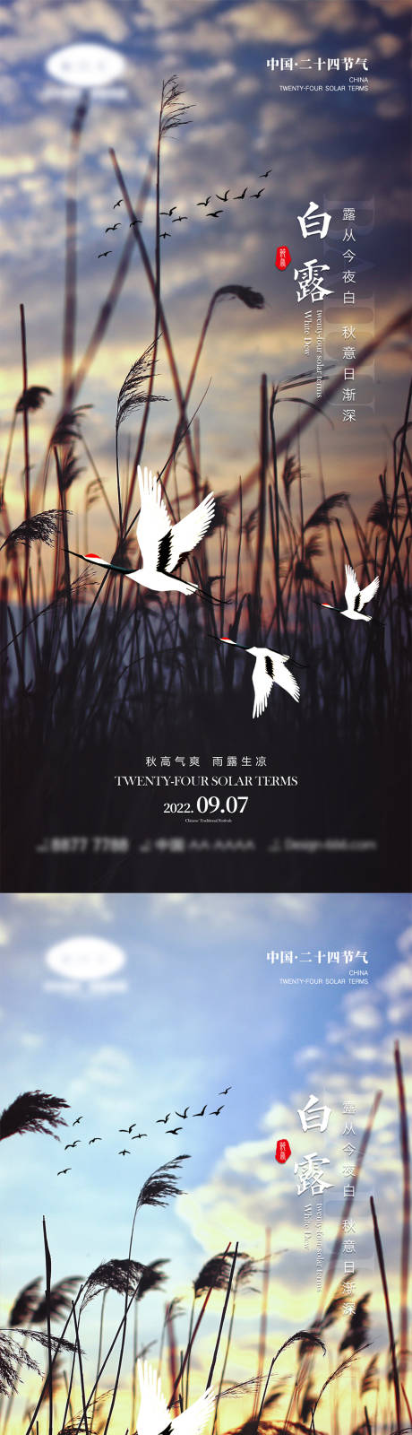 源文件下载【白露节气系列海报】编号：82200011884247126
