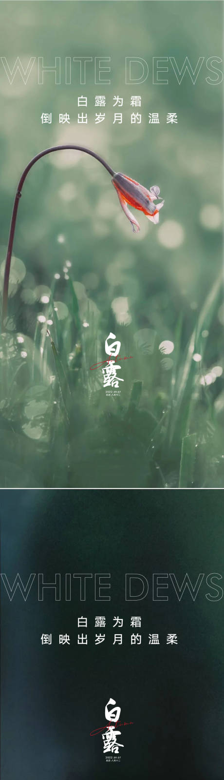 源文件下载【享设计】搜索编号：97710011428567477【白露海报】