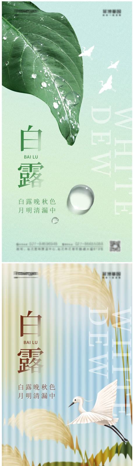 源文件下载【白露节气海报】编号：53390011878045526