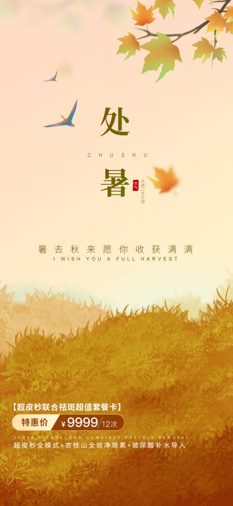 源文件下载【医美处暑节气海报】编号：90030011741097008