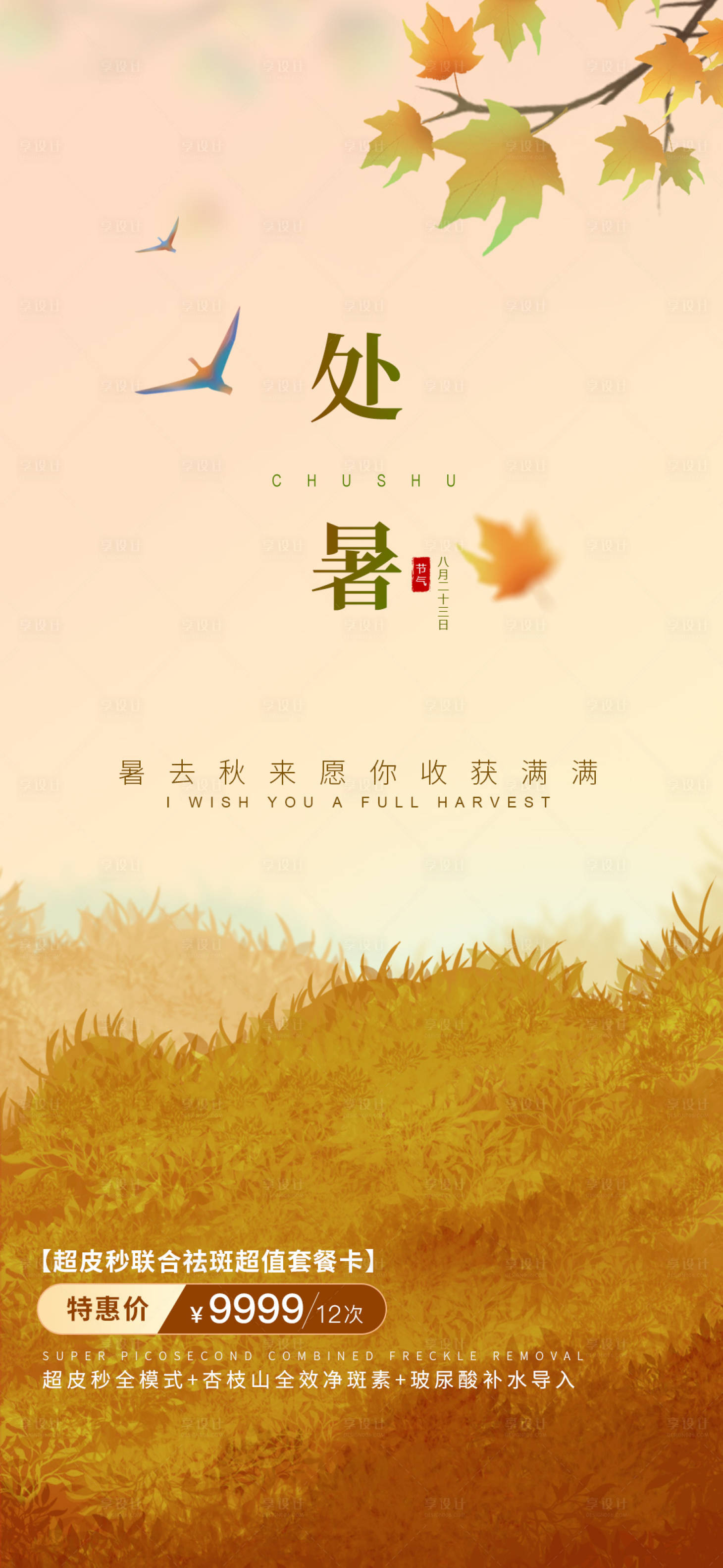源文件下载【医美处暑节气海报】编号：90030011741097008