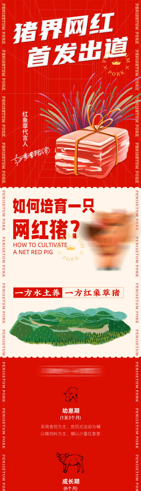 源文件下载【网红猪肉宣传长图】编号：91250011729031534