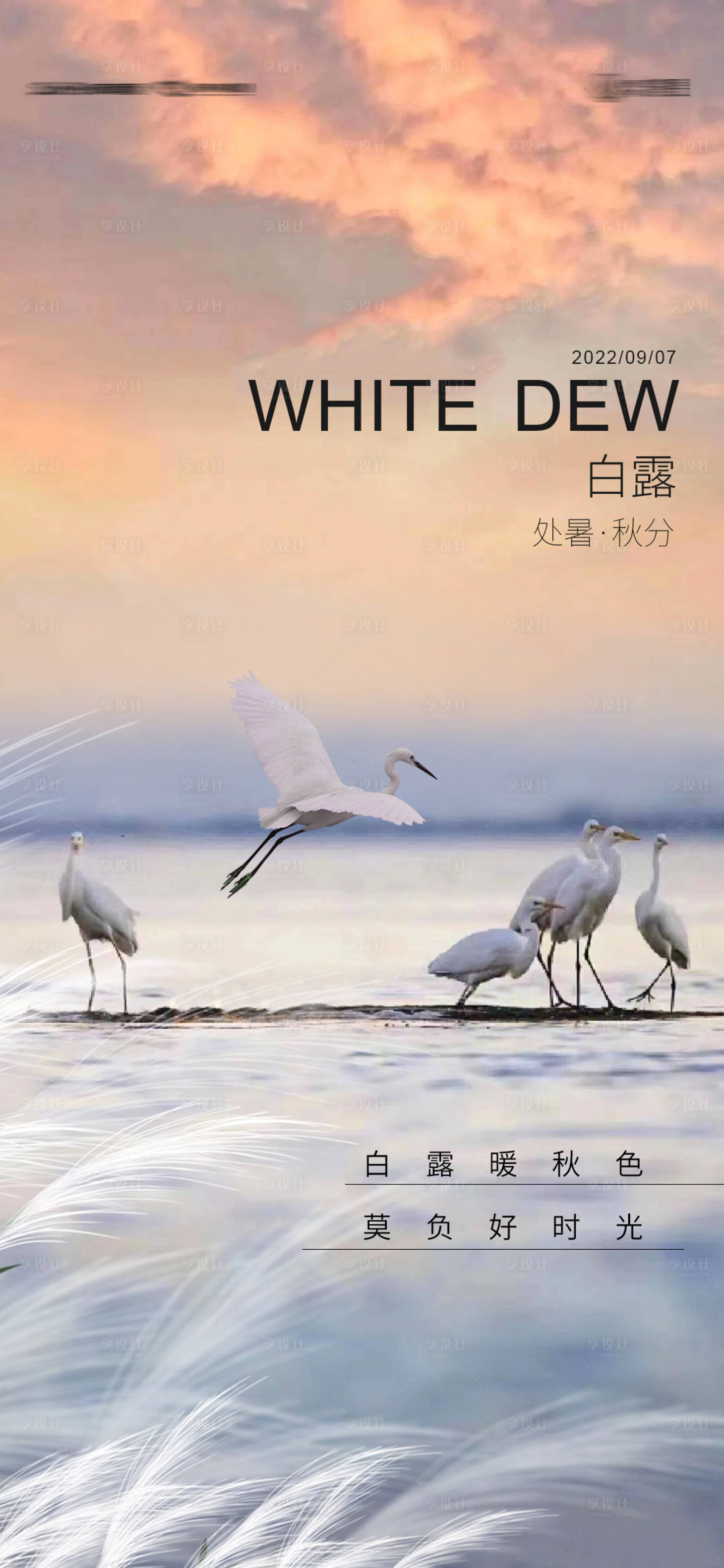 源文件下载【白露处暑秋分节气移动端海报】编号：12410011674479403