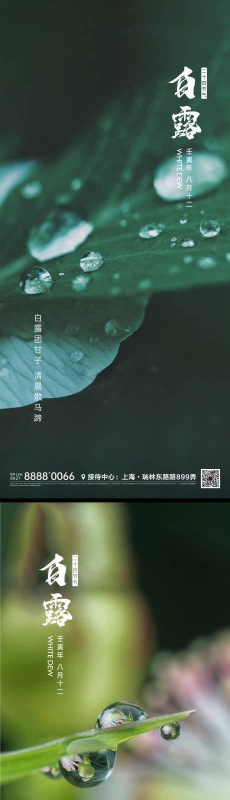 源文件下载【白露节气海报】编号：20220808225030574