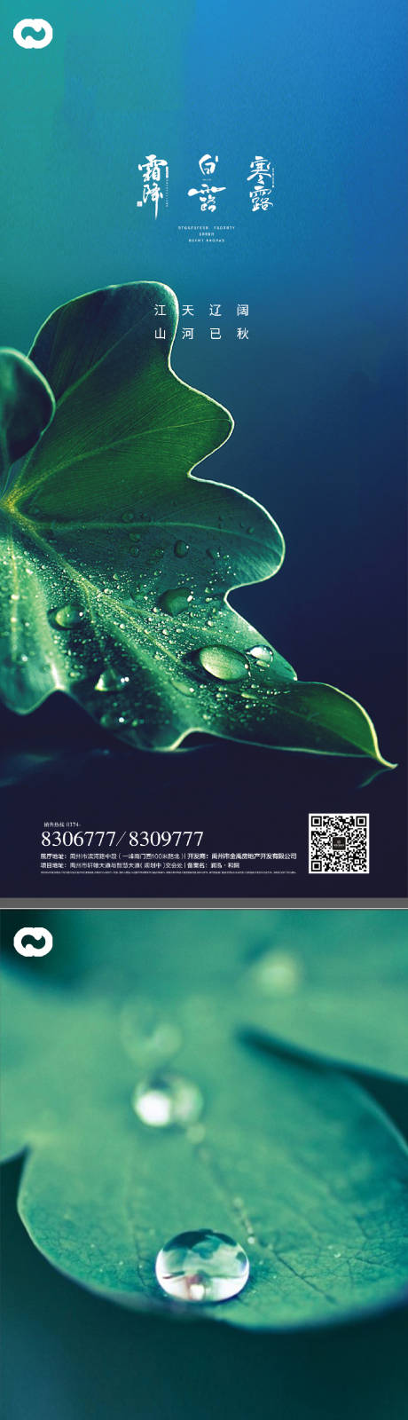 源文件下载【享设计】搜索编号：45980011905473271【白露寒露霜降节日系列海报】