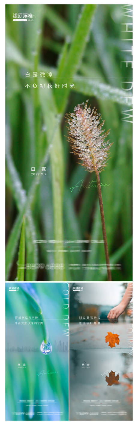 源文件下载【房地产白露寒露秋分节气海报】编号：69830011951175032