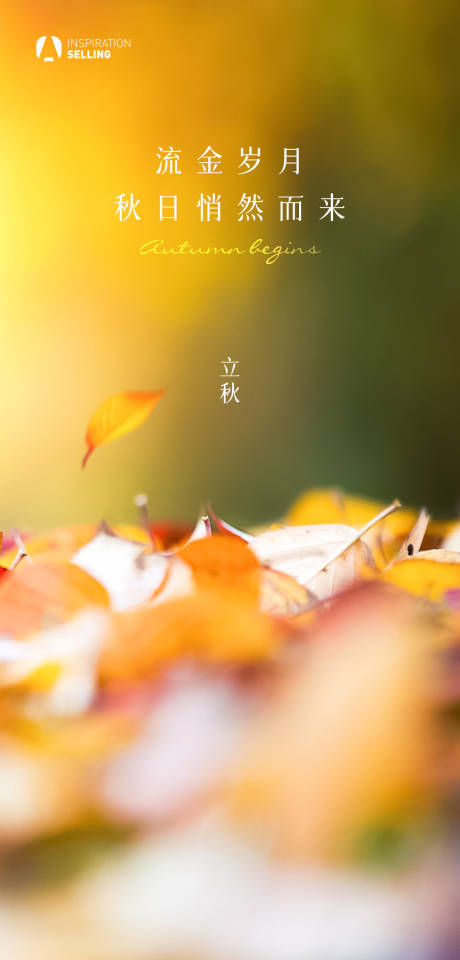 源文件下载【地产立秋海报】编号：24160011408715841
