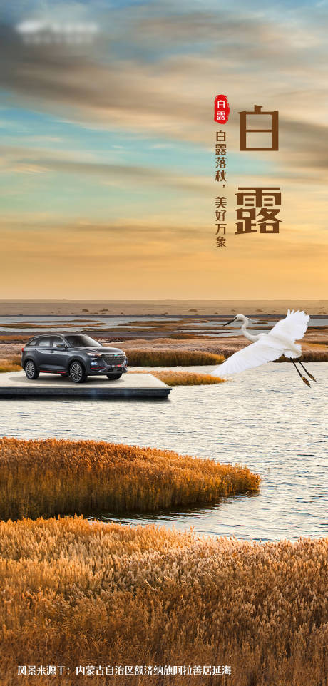 源文件下载【白露汽车海报】编号：56090011788657905