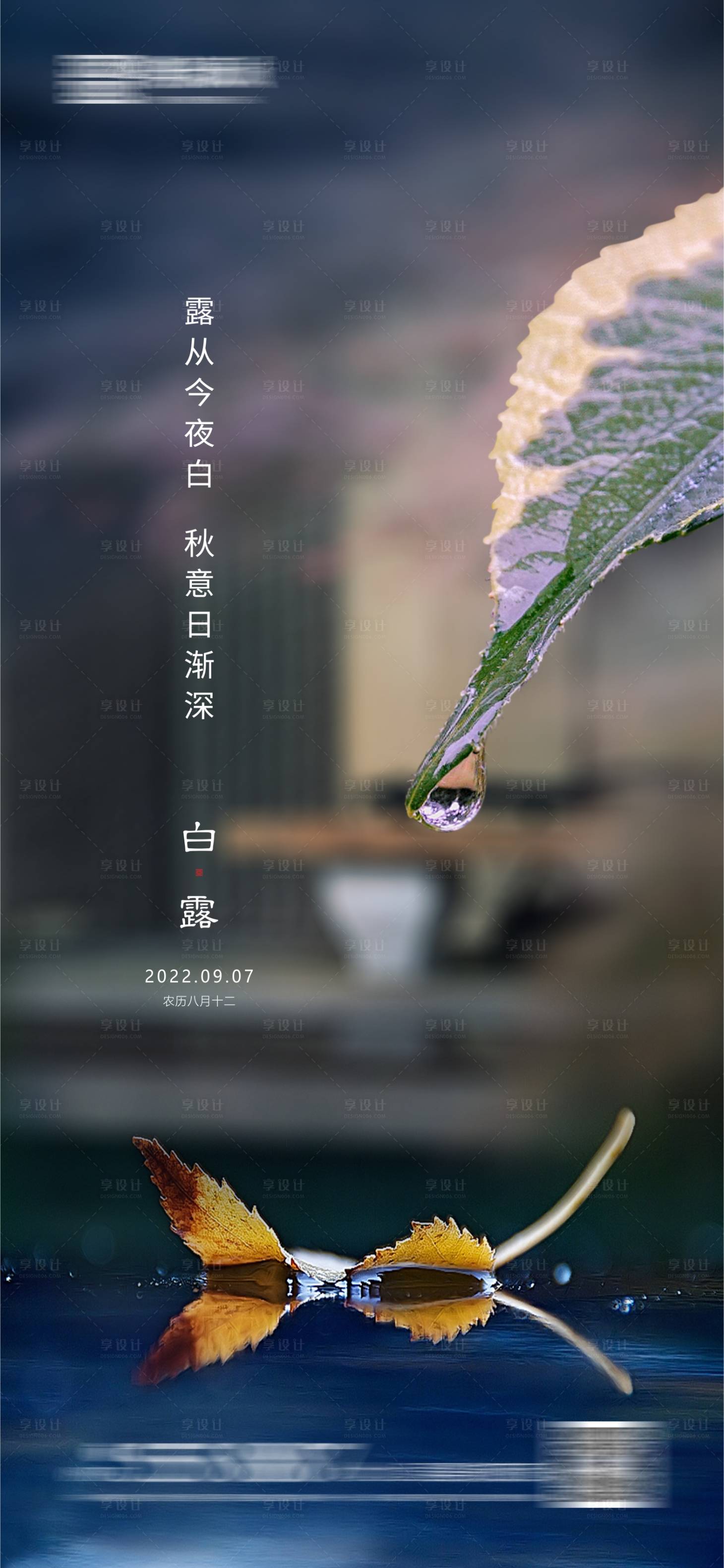 源文件下載【白露海報】編號：24950011941695597