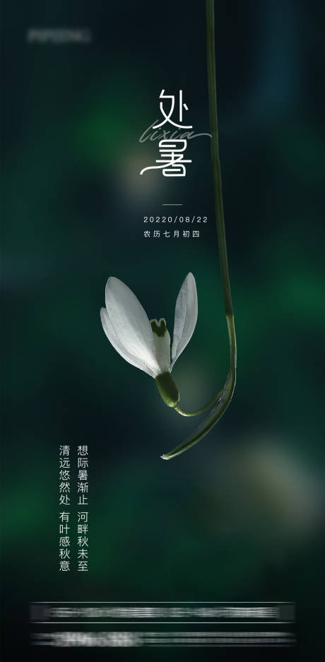 源文件下载【处暑海报】编号：24740011643174566