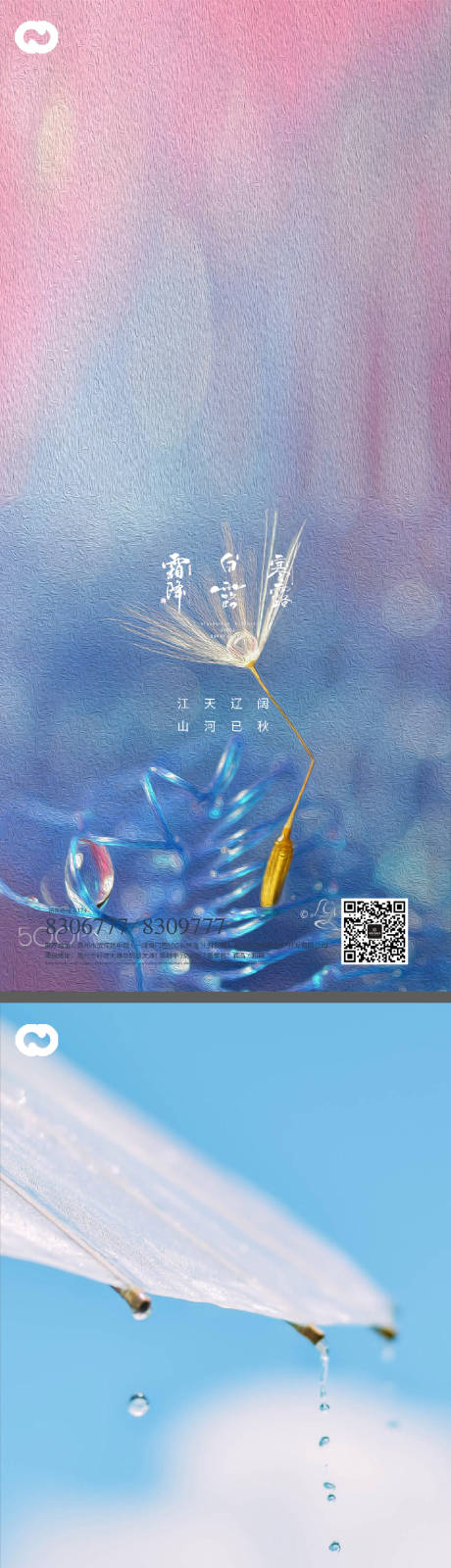 源文件下载【白露寒露霜降系列海报】编号：72240011905282508