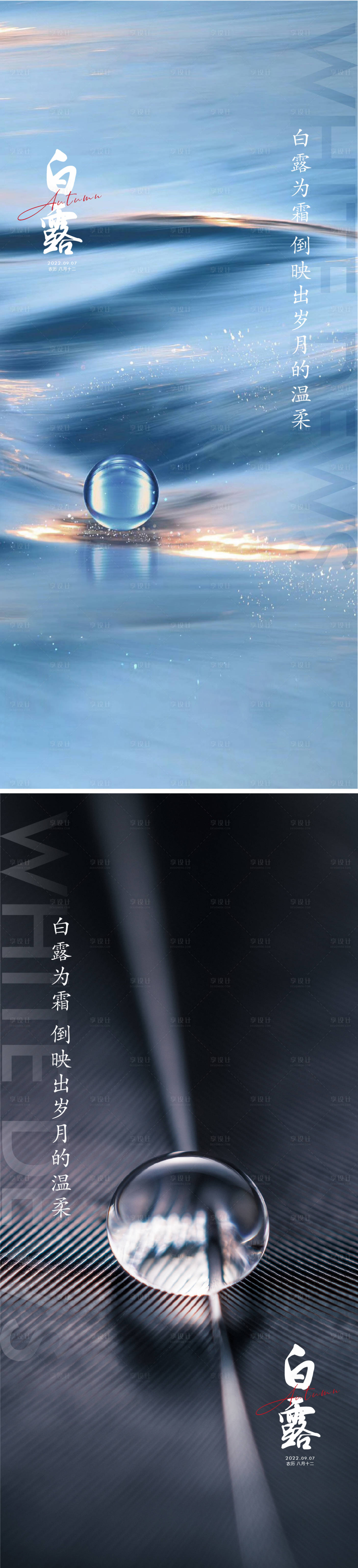 源文件下载【地产白露海报】编号：65560011428399356