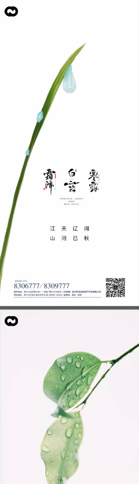 源文件下载【白露寒露霜降系列海报】编号：51640011905278022