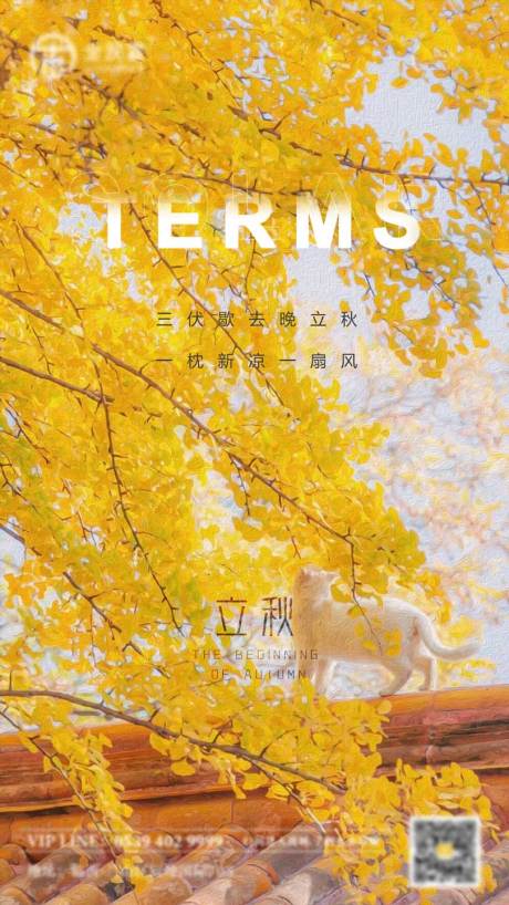 源文件下載【立秋節(jié)氣海報】編號：78460011444942994