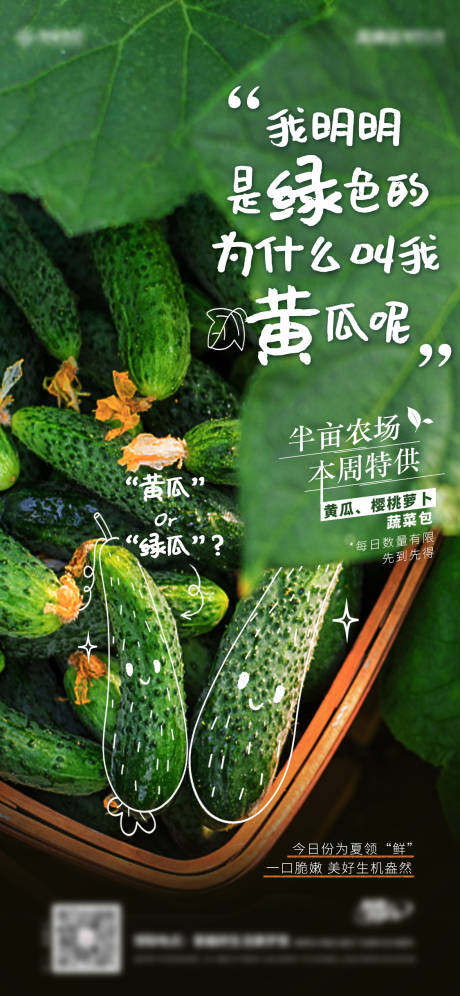 编号：20220819002138866【享设计】源文件下载-蔬菜农场黄瓜海报