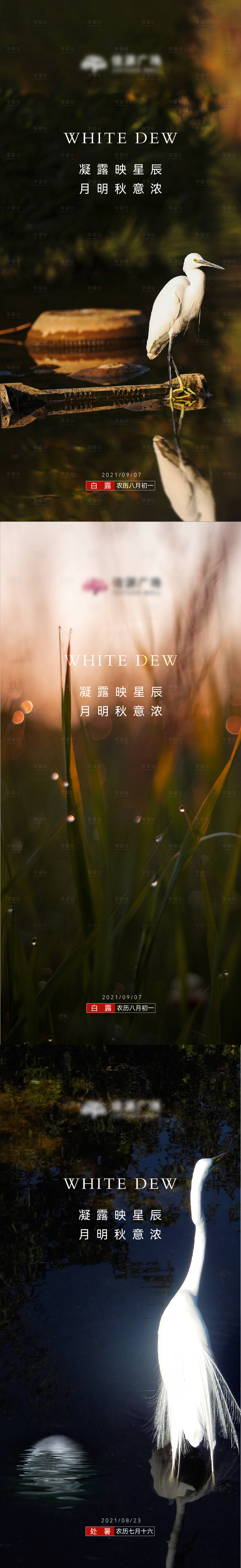 源文件下载【地产白露节气微信刷屏】编号：87370011704025441