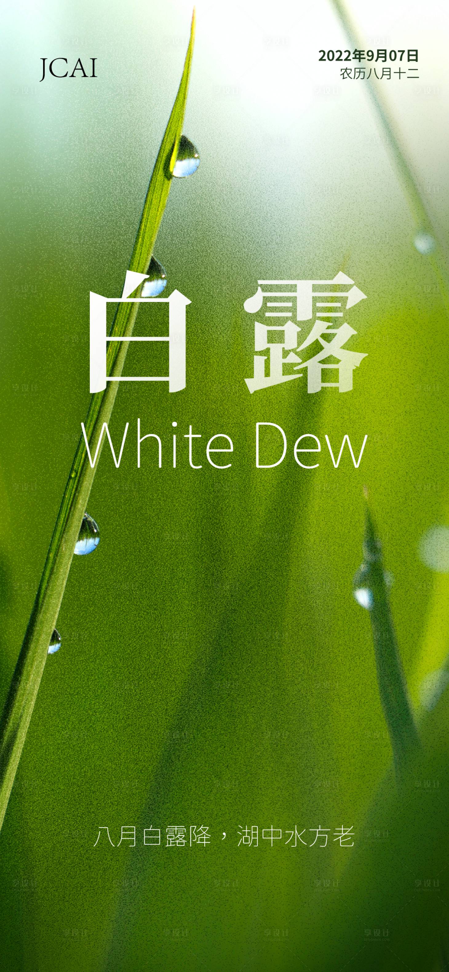 源文件下载【白露节气海报】编号：25570011808957551