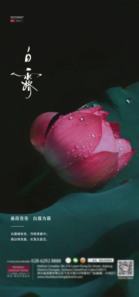 源文件下载【享设计】搜索编号：82450011824014052【白露海报】
