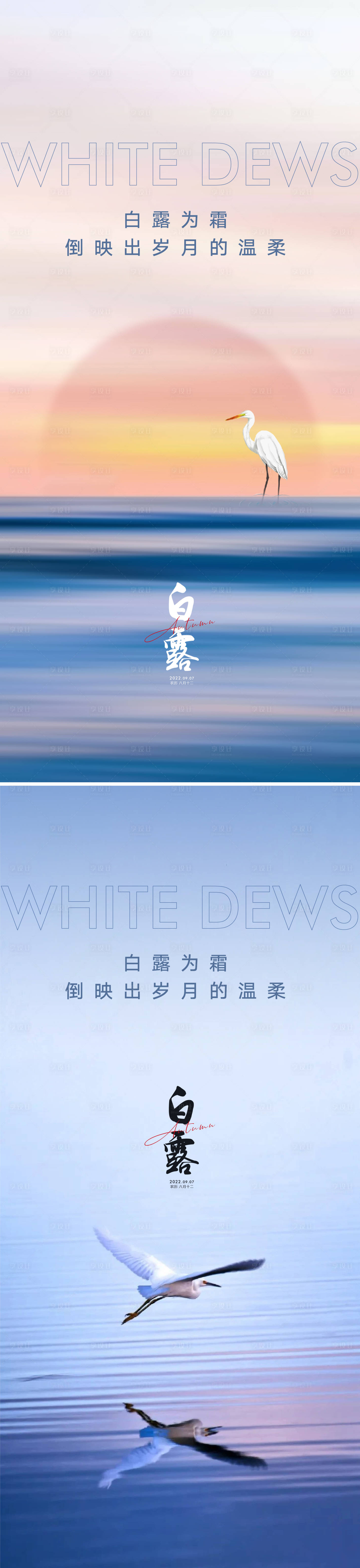 源文件下载【白露海报】编号：95780011430391015