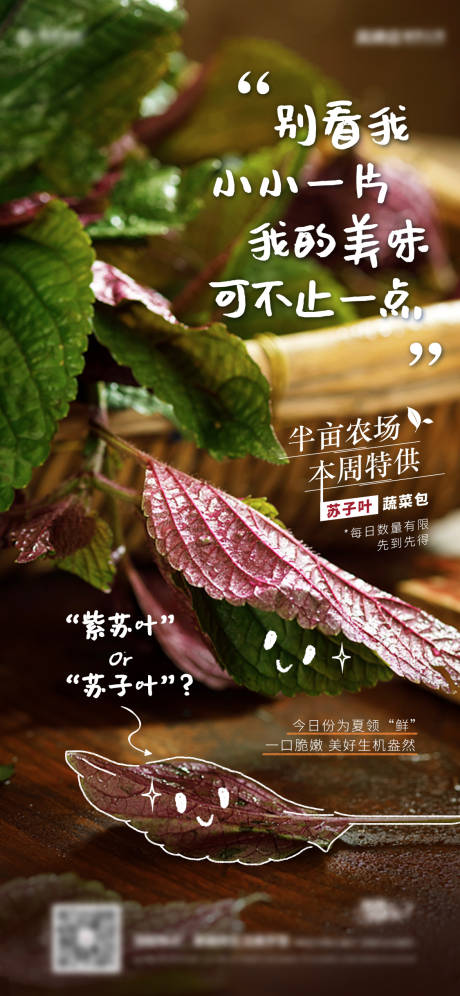 源文件下载【享设计】搜索编号：50670011742459919【农场宣传海报】
