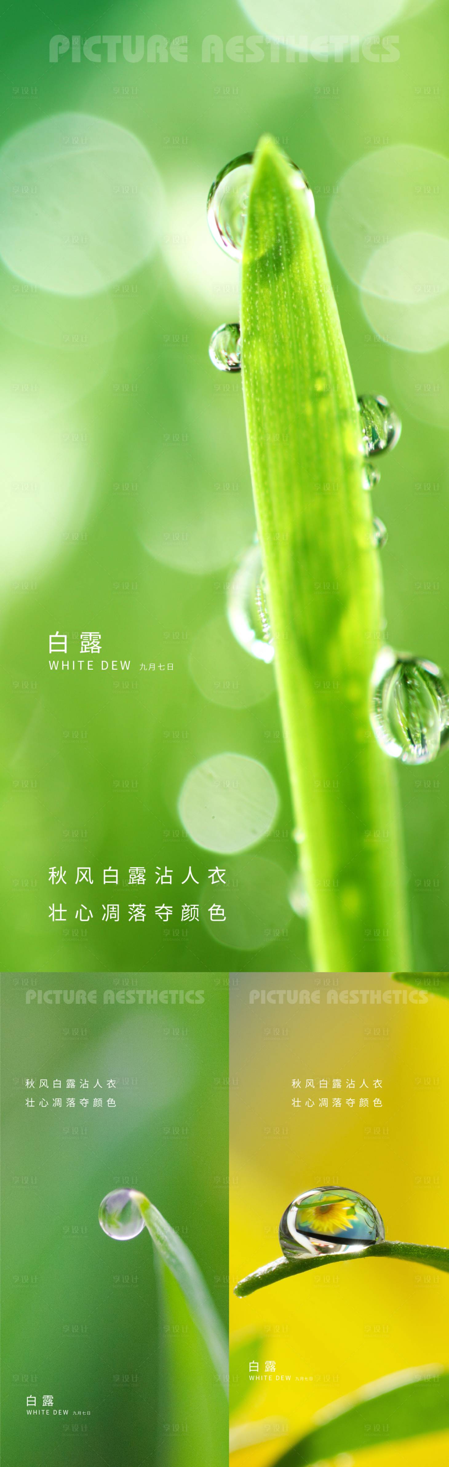 源文件下载【二十四节气白露海报】编号：76920011954031289