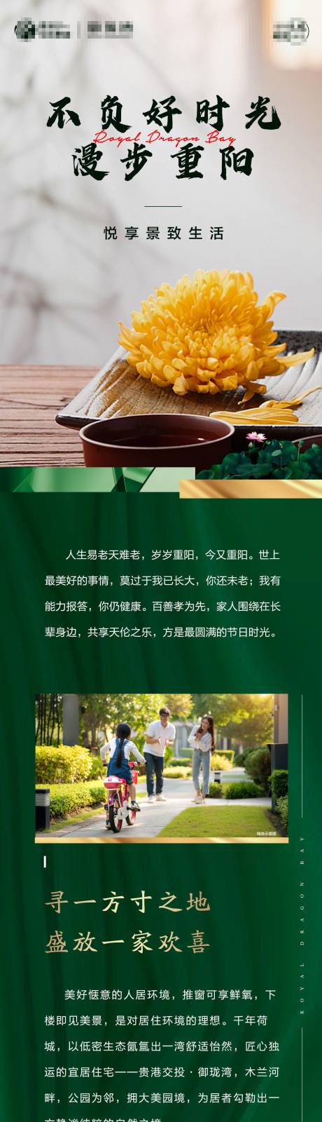 源文件下载【地产重阳节长图】编号：29140011396928295