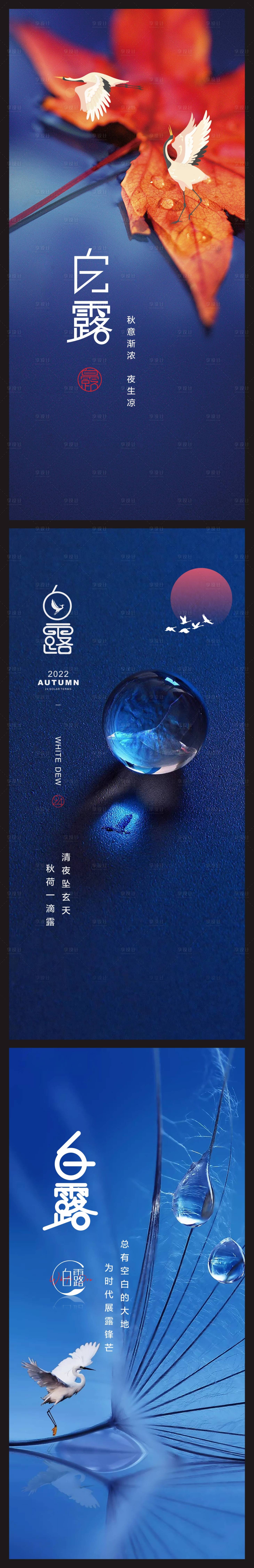 源文件下載【享設計】搜索編號：29430011906233052【白露海報】