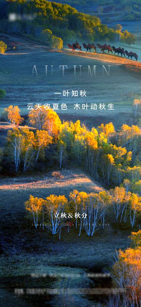 源文件下载【享设计】搜索编号：91740011401724403【地产立秋秋分海报】