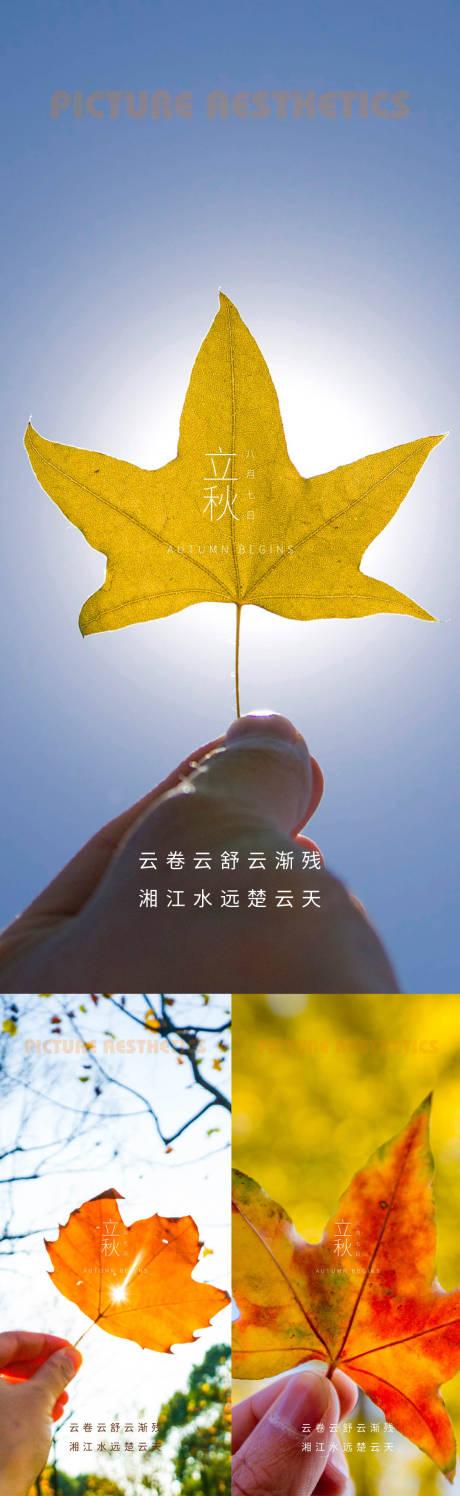 源文件下载【枫叶立秋24节气海报】编号：10240011423828948