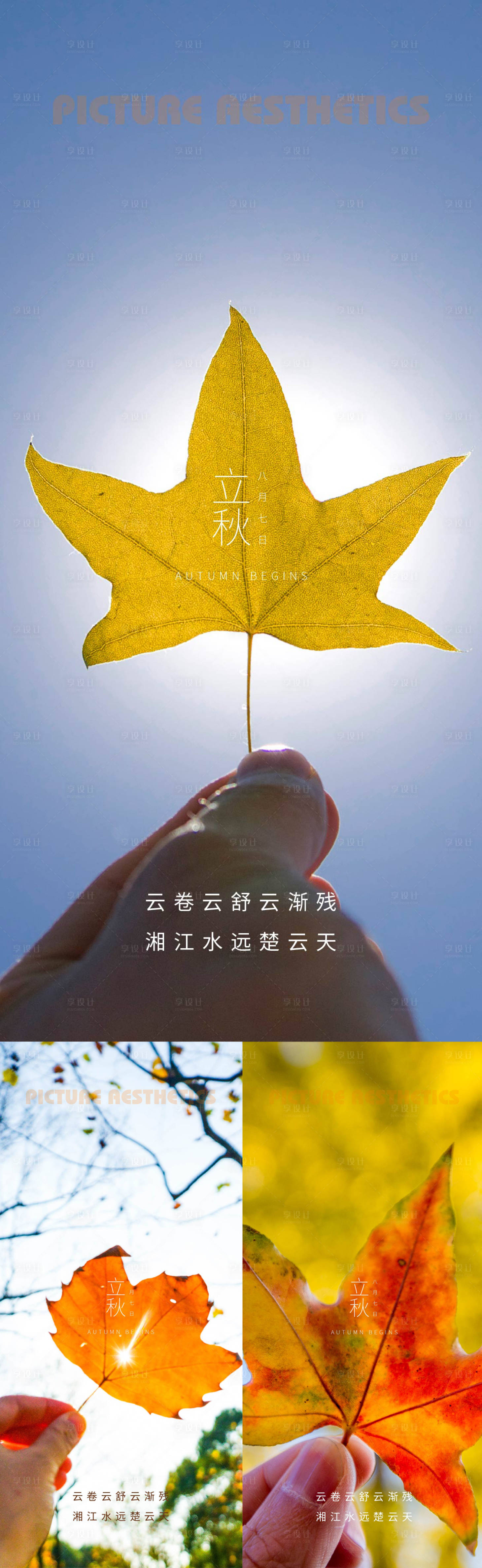 源文件下载【枫叶立秋24节气海报】编号：10240011423828948