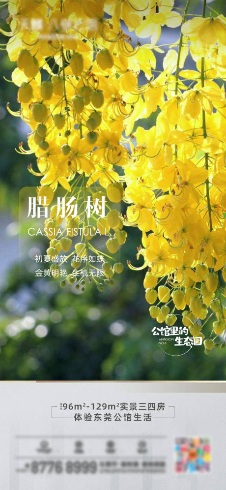 花卉海报-源文件【享设计】