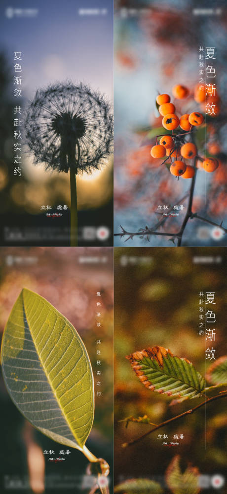 源文件下載【地產立秋處暑節氣海報】編號：49430011456555409