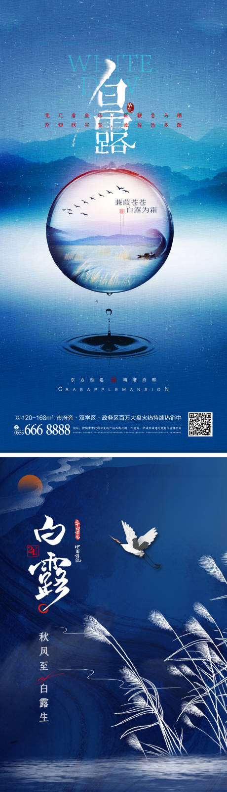 白露节气海报