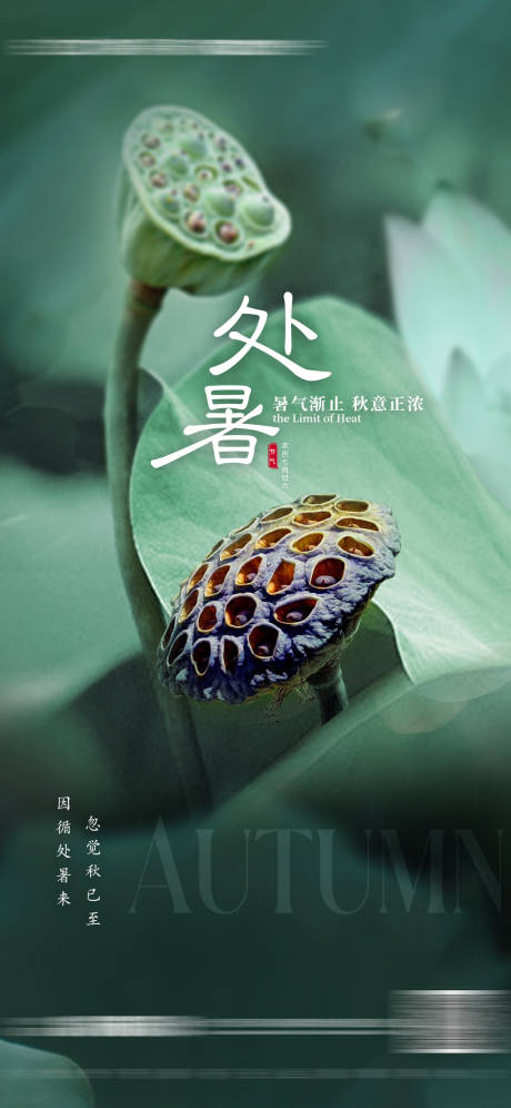 源文件下载【处暑海报】编号：49350011770134543